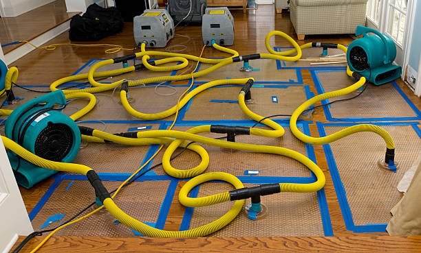 Professional Basement Flood Cleanup technician working in Point Lookout, NY